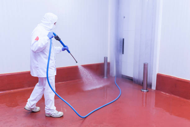 Reliable East San Gabriel, CA Pressure Washing Services Solutions
