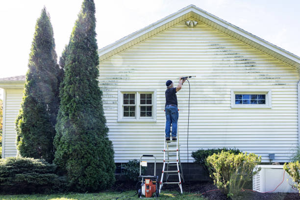 Best Driveway Pressure Washing  in East San Gabriel, CA